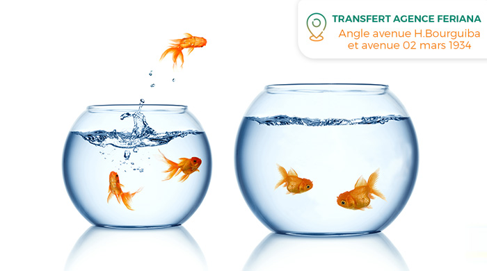 Transfert de l’agence FERIANA