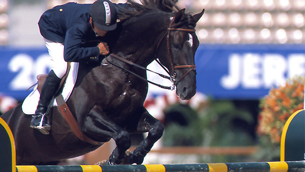 La BNA partenaire du Grand Prix du Bélvédère d’équitation Concours National de Sauts d’Obstacles